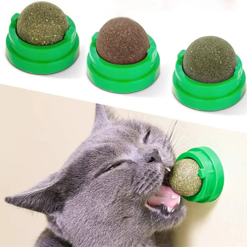 Balle d'herbe à chat autocollante à fixer au mur, photo 2