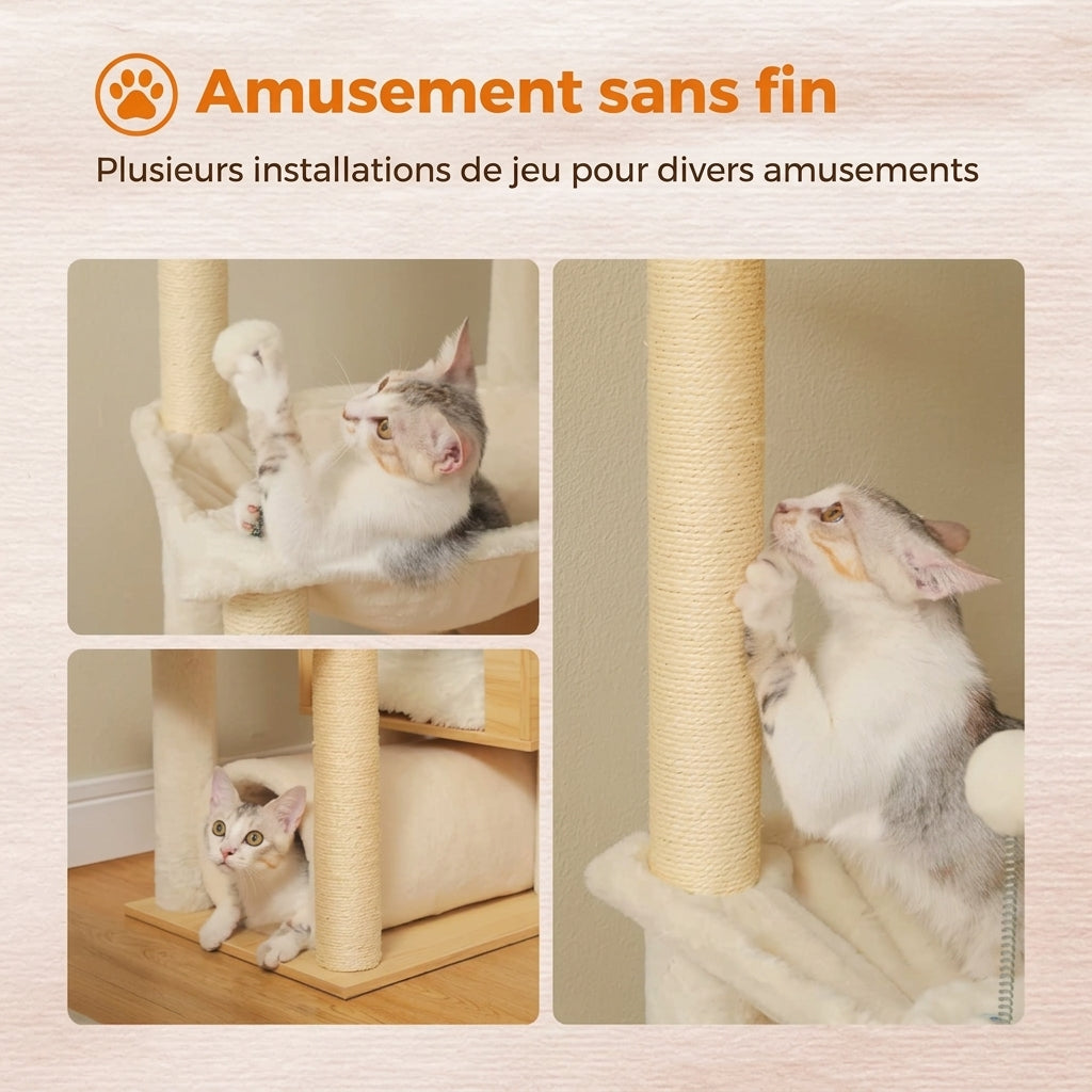 Montage de trois photos montrant des chats jouant sur l'arbre à chat.