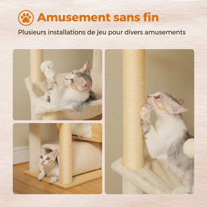 Montage de trois photos montrant des chats jouant sur l'arbre à chat.