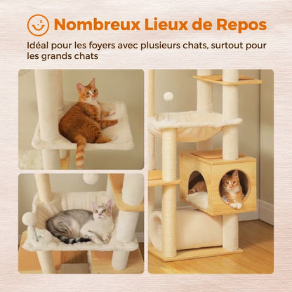Photo décrivant les nombreux lieux de repos disponibles sur l'arbre à chat.