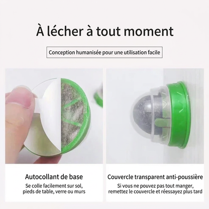 Photo de la balle d'herbe à chat qui explique qu'elle est auto-adhésive t munie d'un couvercle pour pouvoir la refermer.