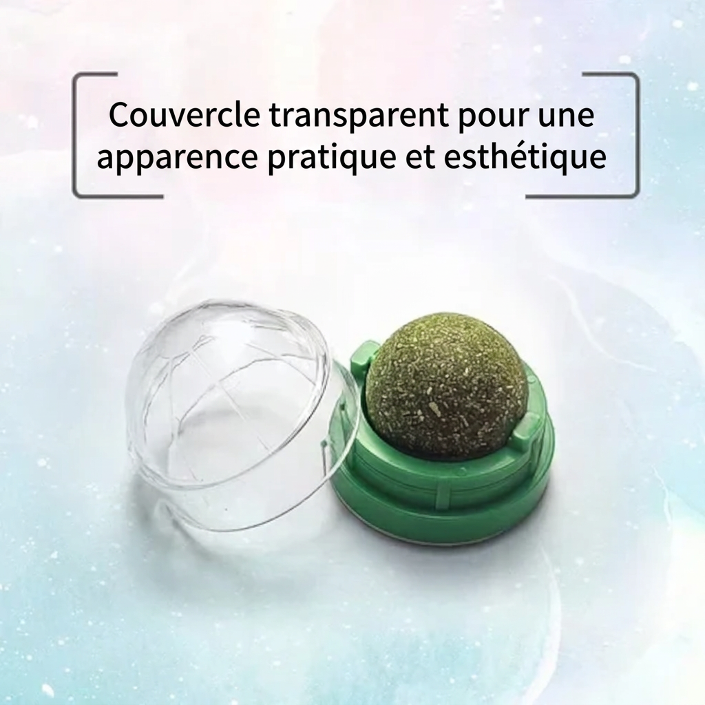 Photo de la balle d'herbe à chat avec écrit : "Couvercle transparent pour une apparence pratique et esthétique".