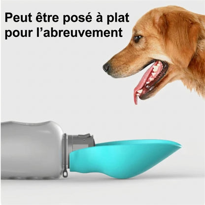 La gourde de balade pour chien peut être posée à plat pour l'abreuvement des animaux.